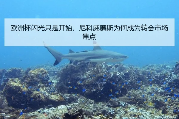 欧洲杯闪光只是开始，尼科威廉斯为何成为转会市场焦点