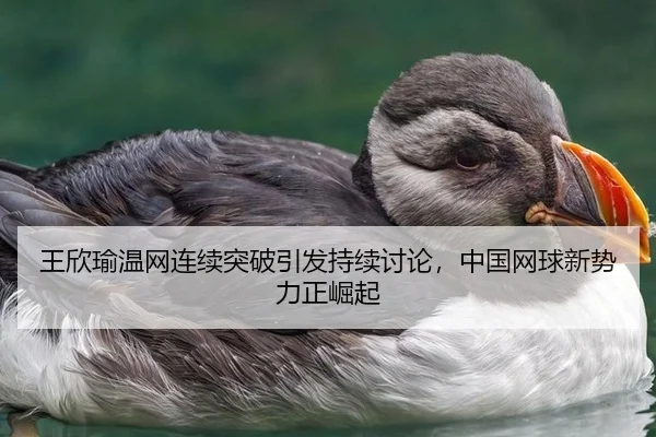 王欣瑜温网连续突破引发持续讨论，中国网球新势力正崛起