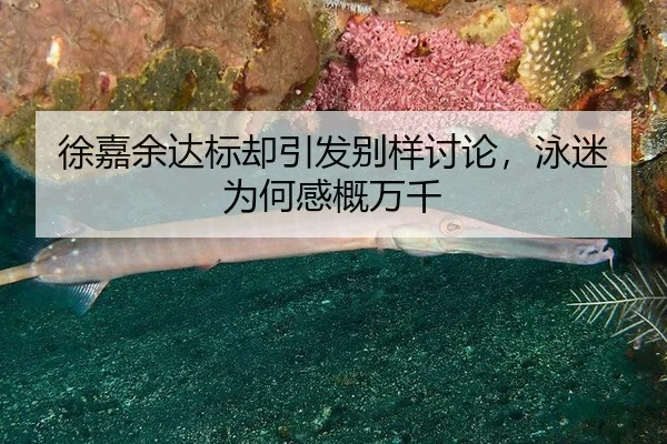 徐嘉余达标却引发别样讨论，泳迷为何感概万千